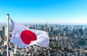 Japan visa  electronic services